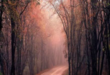 TheShy重返赛场，持续失利首场状态出色，G2观众沸腾！